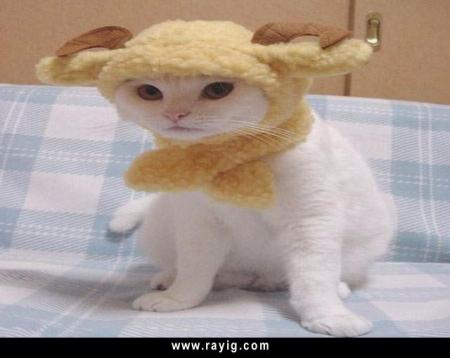 9ita khareja mane hamame